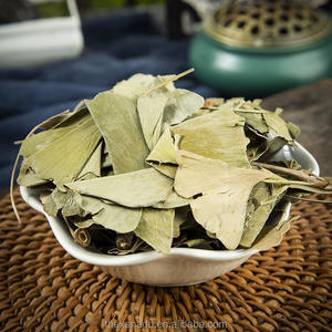 Лист гинкго, китайская оптовая продажа, органический фолиевый гинкко Инь Син Йе, используемый для травяного чая/экстракта/таблеток/порошка - Product Image 5