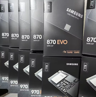 Hard Drive Sata mode Terbaik Samsung 870 evo 1Tb 250GB 2Tb eksternal Terabyte PS5 Pc Harici Disk Ssd Interno