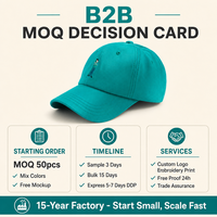 Casquette de baseball vert sarcelle avec broderie de personnage de dessin animé, ajustable, unisexe, en coton, vente en gros, OEM, livraison rapide