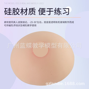 Formation des conseillères en lactation : seins artificiels médicaux en silicone souple, écoles professionnelles de services domestiques, hôpitaux - Product Image 5