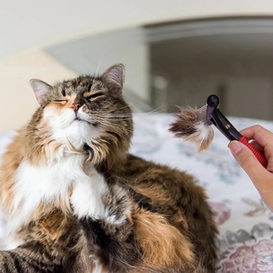 <span class=keywords><strong>Spazzola</strong></span> <span class=keywords><strong>per</strong></span> Toelettatura Animali Domestici, Pettine con Denti in Acciaio Inox <span class=keywords><strong>per</strong></span> Cani e Gatti - Product Image 6