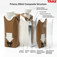 Boîte en carton aseptique mate écologique personnalisée de 250 ml pour l'emballage du lait, du lait d'avoine, du jus de fruits