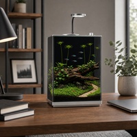Nano aquarium en verre à faible teneur en fer 91% clarté, aquarium de bureau personnalisé en gros avec filtre de fond dissimulé et éclairage pour plantes