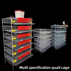 Système de cages à cailles galvanisées à plusieurs niveaux, cage d'élevage automatique pour pigeons, cages de couvaison pour volailles - Product Image 1