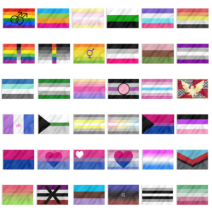 Drapeaux multicolores de fierté LGBTQIA pour la communauté des personnes handicapées - Product Image 6