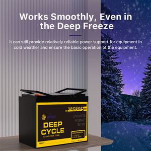 Batterie LiFePO4 24V 50Ah 1280Wh à décharge profonde au lithium fer phosphate pour fauteuil roulant électrique, trottinette électrique et équipement médical - Product Image 3