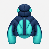 Veste matelassée biomorphique DiZNEW personnalisée pour homme, style streetwear, coupe sculpturale, panneaux organiques courbés, courte, rembourrée, usine BSCI