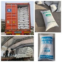 Granulés de perlite expansée, conditionneur de sol blanc pour matériaux de construction, horticulture, agriculture et applications hydroponiques