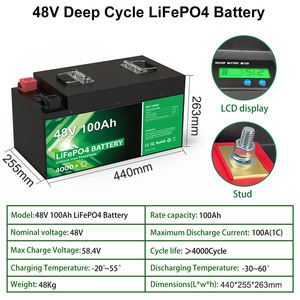 Pin Lithium-Akku RV 48V 100Ah <span class=keywords><strong>LiFePO4</strong></span> 6000 Chu Kỳ Sâu Tối Đa <span class=keywords><strong>6</strong></span> Song Song Được Xây Dựng Trong 16S 100A BMS 5Kwh - Product Image 2