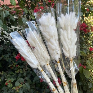 Tự Nhiên Pampas Thỏ Đuôi Cỏ Bảo Quản Thỏ Đuôi Cỏ Khô Hoa Bó Hoa Cho Boho Trang Trí Nội Thất - Product Image 2