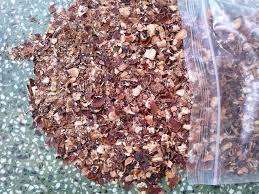 Polvo de Cáscara de Anacardo de Primera Calidad de Vietnam - Product Image 4