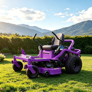 Tondeuse <span class=keywords><strong>autoportée</strong></span> haute puissance 4,5 kW 224 cm³ à démarrage rapide pour villas, jardins résidentiels et pelouses avant - Product Image 1