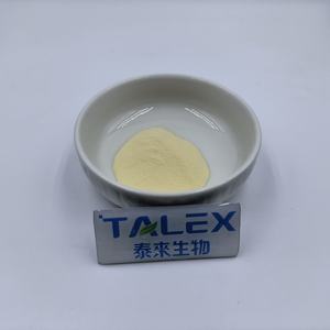 Fábrica Produce Polvo Probiótico de Alta Calidad de Akkermansia Muciniphila, Probiótico de Akkermansia, Akkermansia Muciniphila - Product Image 4