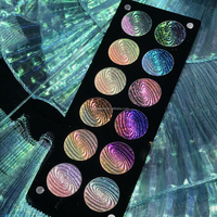 Eyeshadow Chameleon Berpigmen Tinggi Warna Berubah-ubah Radiant Multi Chrome Palet Akrilik Magnetik DIY Label Pribadi