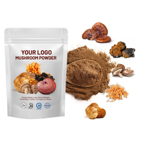 Poudre d'Extrait de Champignons Herbacés de Haute Qualité, Prix de Gros OEM, Corps Entier de Crinière de Lion, Reishi, Chaga, Wuling