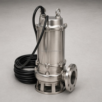 Pompe à eaux usées submersible en acier inoxydable 7,5 kW 10 CV avec système de broyage, 415 V, lame de découpe anticorrosion