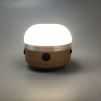 Pêche en plein air suspendu Camping lampe tente voyage lumière Camping en plein air lumière étanche LED lanterne Portable Camping lumière