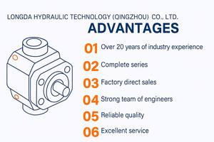 LONGDA LIUGONG 50C Boosterpomp Reserveonderdelen Wiellader - Product Image 4