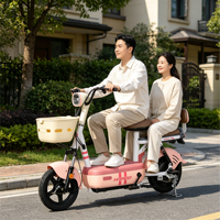Vélo électrique 2 places 48V, scooter électrique léger pour adulte, homologué CE, vente en gros