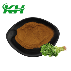 Suministros de Fábrica: Extracto de <span class=keywords><strong>Portulaca</strong></span> Oleracea en Polvo de Grado Alimenticio 10:1  30:1 - Product Image 3