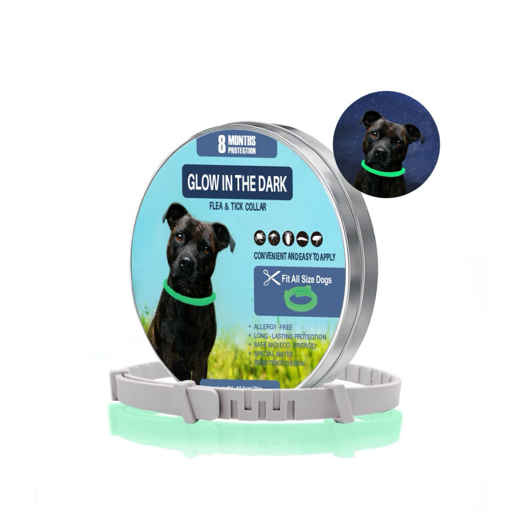 Glow in the dark for dog62cm