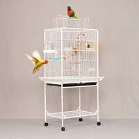 Mangeoire à oiseaux amovible en acier inoxydable pour cage à oiseaux moyenne de luxe bon marché pour l'élevage de canaris boîte à motif solide