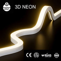 Nouveaux Néons LED 3D Flexibles à Effet de Vue Supérieure et Latérale, Blanc Chaud/Froid, RGB Numérique, IP67, en Silice Fumée pour Projets