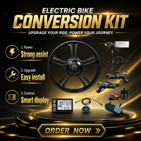 Kit de conversion de vélo électrique Reliago 48V 750W avec roue à pneu large 20x4.0, moteur de moyeu arrière sans balais à engrenages, écran LCD et poignée de commande rotative