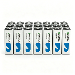 Piles alcalines 9V robustes, longue durée, anti-fuite, pour microphone, télécommande, détecteur de fumée, jouets, vente en gros, OEM - Product Image 1