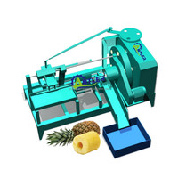 Machine à éplucher automatique en acier inoxydable pour fruits, citrouille, ananas, pastèque, éplucheur de légumes, éplucheur de mangue