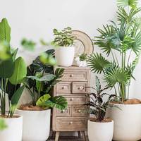 Pots à fleurs en ciment légers et écologiques de style cylindrique nordique pour une utilisation en intérieur/extérieur à la maison