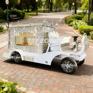 Carroza Fúnebre Personalizada en Venta, Carroza para Ataúdes, Carroza Fúnebre Eléctrica Clásica Antigua con Buen Precio - Product Image 5