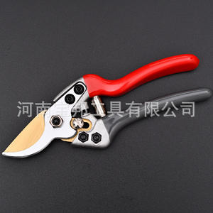 Tijeras de Podar Elasko Bypass, Acero al Carbono, Hoja Dorada, Negra y Plateada, 20-30 mm, Herramienta para Recoger Frutas y Recortar el Jardín - Product Image 4