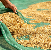 Filet de séchage en HDPE à mailles fines pour céréales, maintient les graines de millet et de blé à la surface, filet de séchage à ourlet renforcé pour la ferme