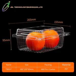 500g Lebensmittel qualität Custom PET Kunststoff Clear Fruit Clam shell Box Erdbeer verpackung Punnet für Supermarkt