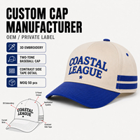 Casquette de baseball bicolore en coton structuré avec broderie 3D et bande latérale contrastante – Vente en gros