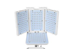 बाल रेगरोथ मशीन थेरेपी पैनल उपकरण बालों के लिए बाल रेगरोथ उपचार के लिए पोर्टेबल - Product Image 2