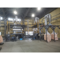 Ligne de recyclage de bouteilles en plastique de 500 à 14 000 kg, machine de recyclage de bouteilles en plastique, broyage et lavage des déchets