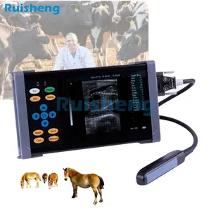 Handscan portatile usg sonda rettale veterinaria veterinaria portatile portatile macchina ad ultrasuoni per suini ovini capra
