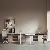 Mobilier de bureau Oficina Table d'ordinateur Tables élévatrices Bureau de sablage Bureau assis debout Bureau à hauteur réglable