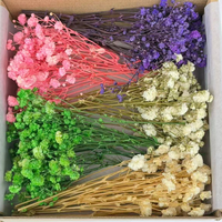 Boîte de 50 branches de gypsophile naturelles séchées de qualité supérieure pour l'art floral, la décoration de couronnes DIY, les fêtes et les mariages
