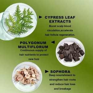 12 cây thảo dược dầu gội rắn tự nhiên cho nam và nữ <span class=keywords><strong>USman</strong></span> cây bách lá Thanh dầu gội đầu cho tóc tăng trưởng và chống rụng tóc - Product Image 2