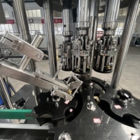 Machine de remplissage et de bouchage automatique d'alcool de type industriel 5000-6000 BPH, machine de scellage à vis pour vin