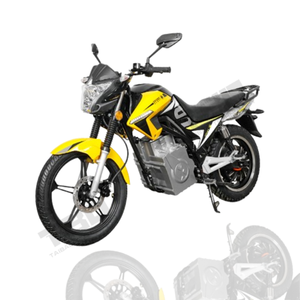 Motocicleta Retro con Batería de Litio Extraíble de 50AH para Adultos, Apta para Diferentes Terrenos, 2000w 3000w FE - Product Image 2