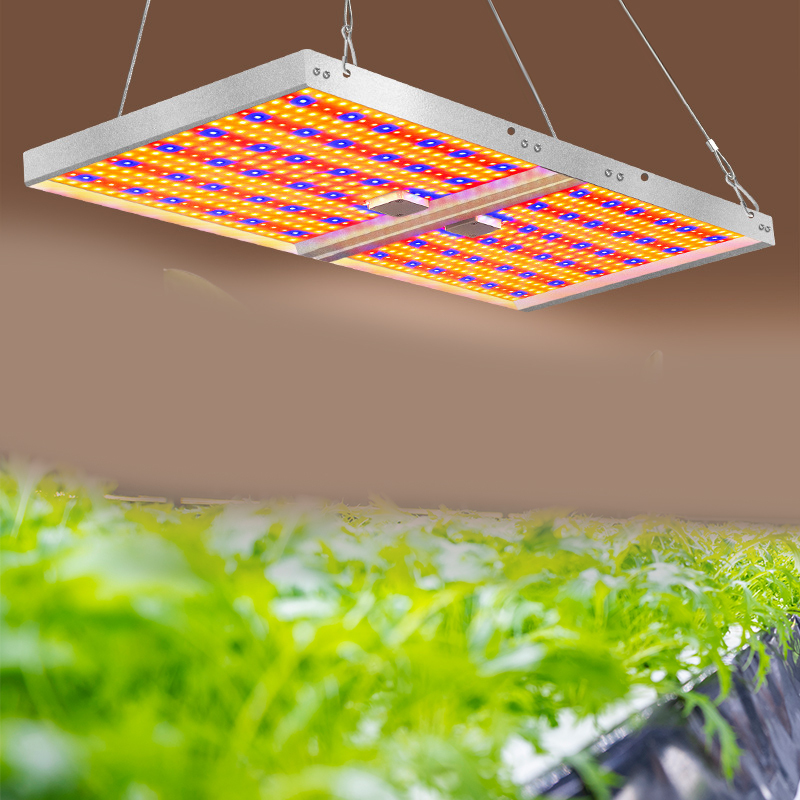 XLY 200W Indoor Grow Light LED