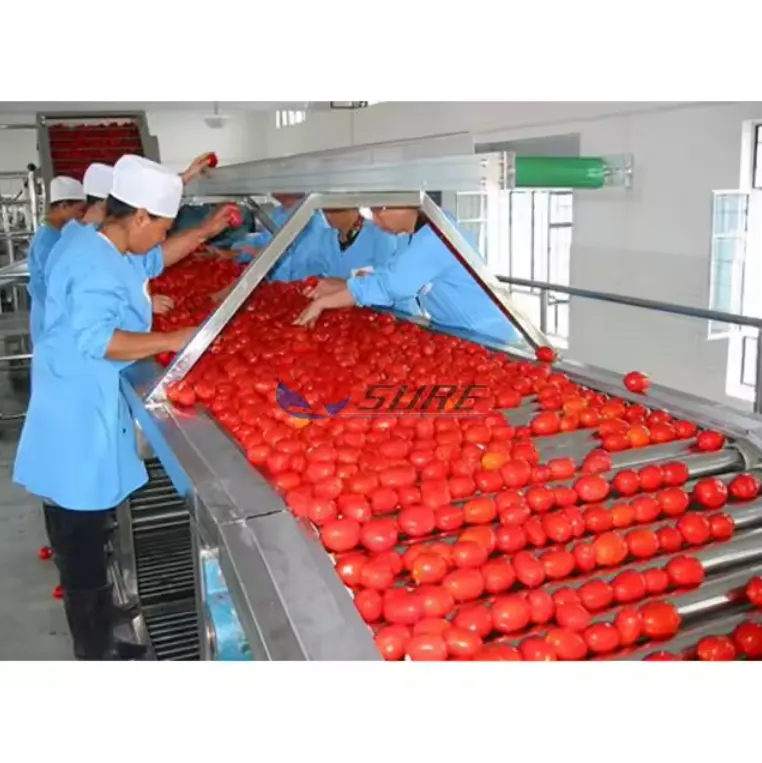 Máquina de venta directa que hace pasta de tomate/línea de producción de concentrado de tomate de mermelada de fruta pequeña
