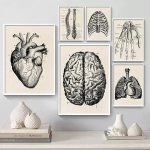 Menselijke Organen Hart Orthopedie Canvas Schilderij Wall Art Pictures Poster Cuadros Voor Ziekenhuis Artsen En Verpleegkundigen Kantoor Decor