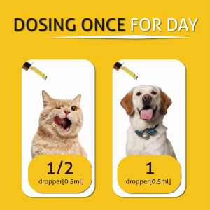 שמן זרעי קנבוס זול עבור כלבים חתולים מפרק מפרק ירך תמיכה בריאות העור חרדה רגוע הקלה אומגה 3 6 9 oem - Product Image 3