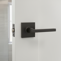 Serrure de porte tubulaire robuste et durable en zinc plaqué avec clés en laiton pour portes de 30 à 45 mm d'épaisseur