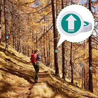 Panneaux de marquage de sentier réfléchissants lumineux pour la chasse, la randonnée, le camping, la randonnée en sac à dos et les activités de plein air - Bleu/Vert/Rouge/Jaune